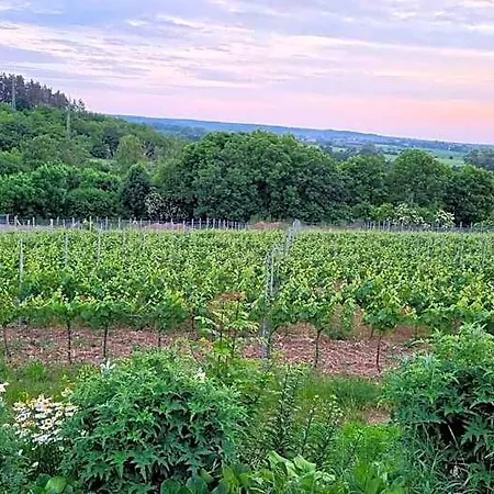 Vinarstvi Hotel 4*